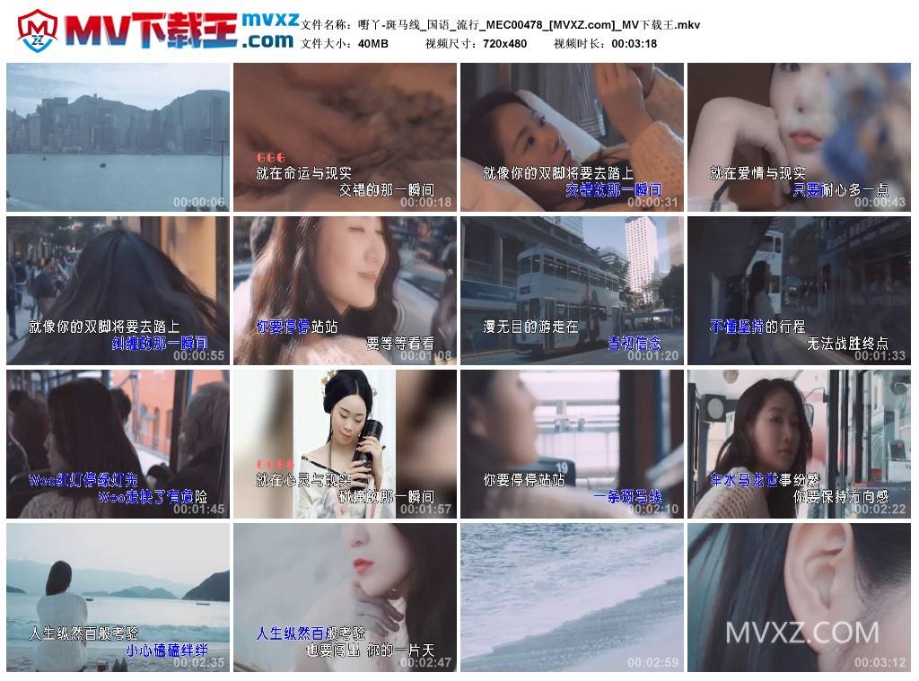 嘢丫-斑马线_国语_流行_MEC00478